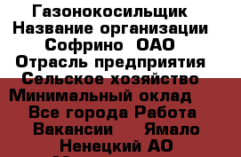 Газонокосильщик › Название организации ­ Софрино, ОАО › Отрасль предприятия ­ Сельское хозяйство › Минимальный оклад ­ 1 - Все города Работа » Вакансии   . Ямало-Ненецкий АО,Муравленко г.